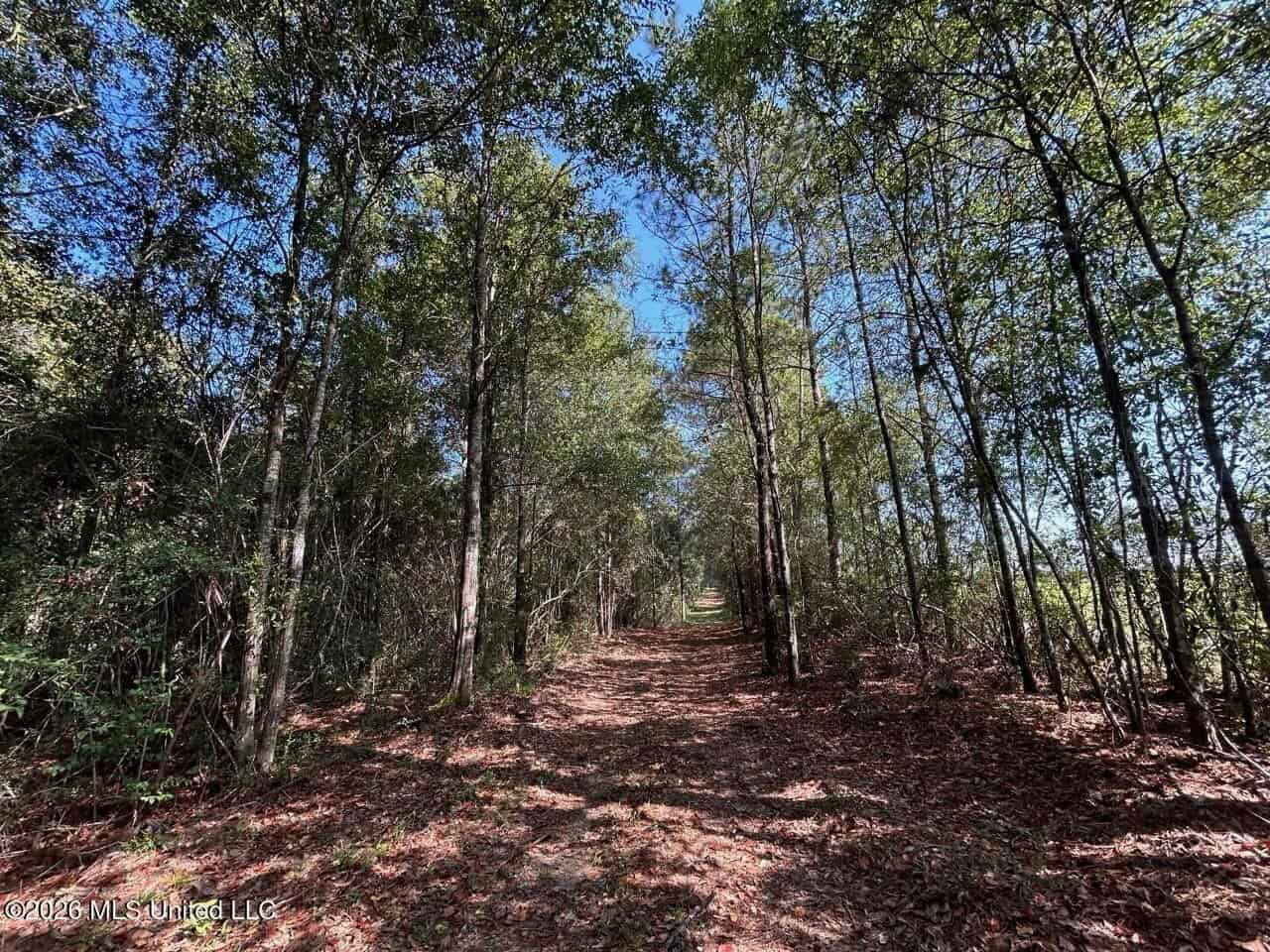 42± Acre Homesite & Hunting Land in Plainview, LA