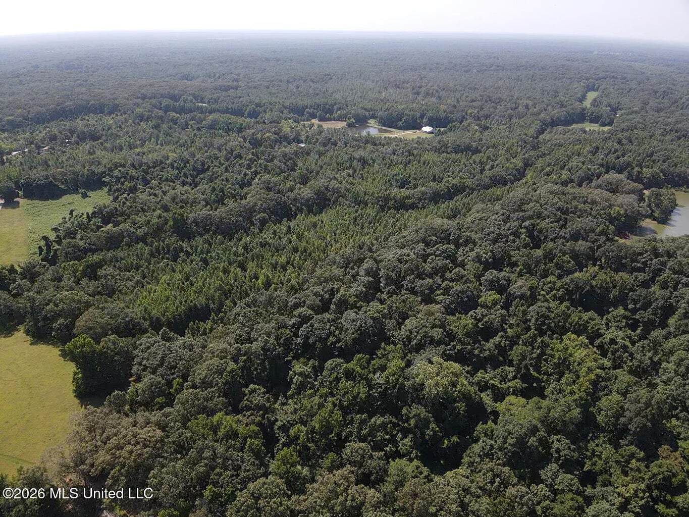 81-Acre Timber Property on 20-Acre Lake in Vaughan, MS