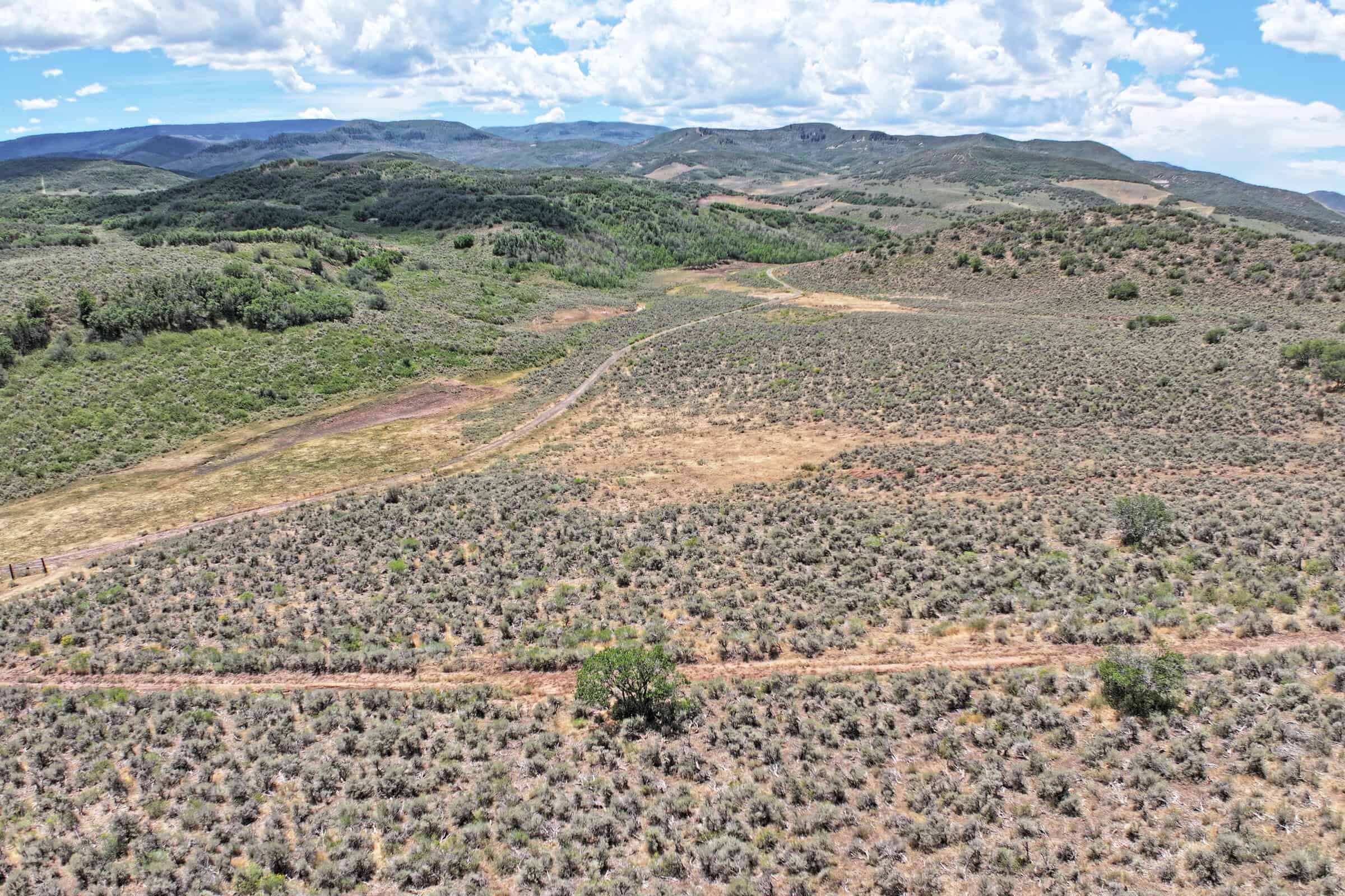35 Acres Borders Public Land near Collbran, CO