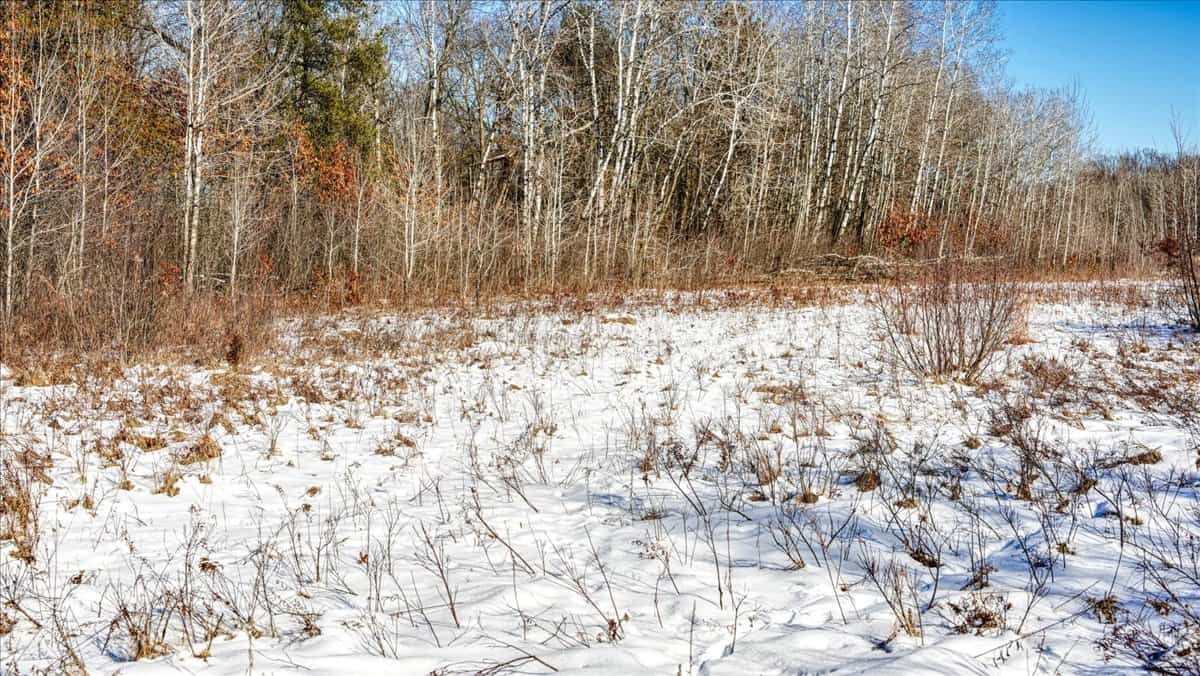 68± Acres of Timber, Water & Recreation | Monroe County, Wisconsin