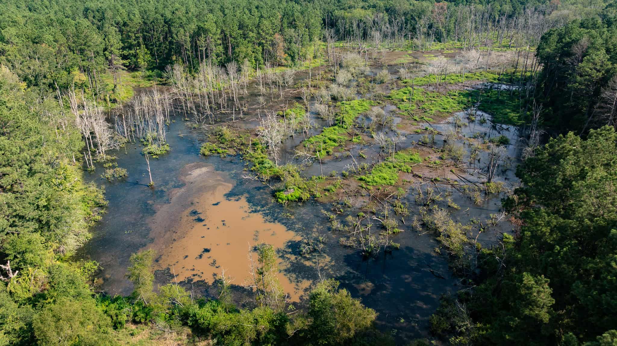 East TX Hunting Land for Sale | 327 Acres | River & Duck Slough | Laneville TX