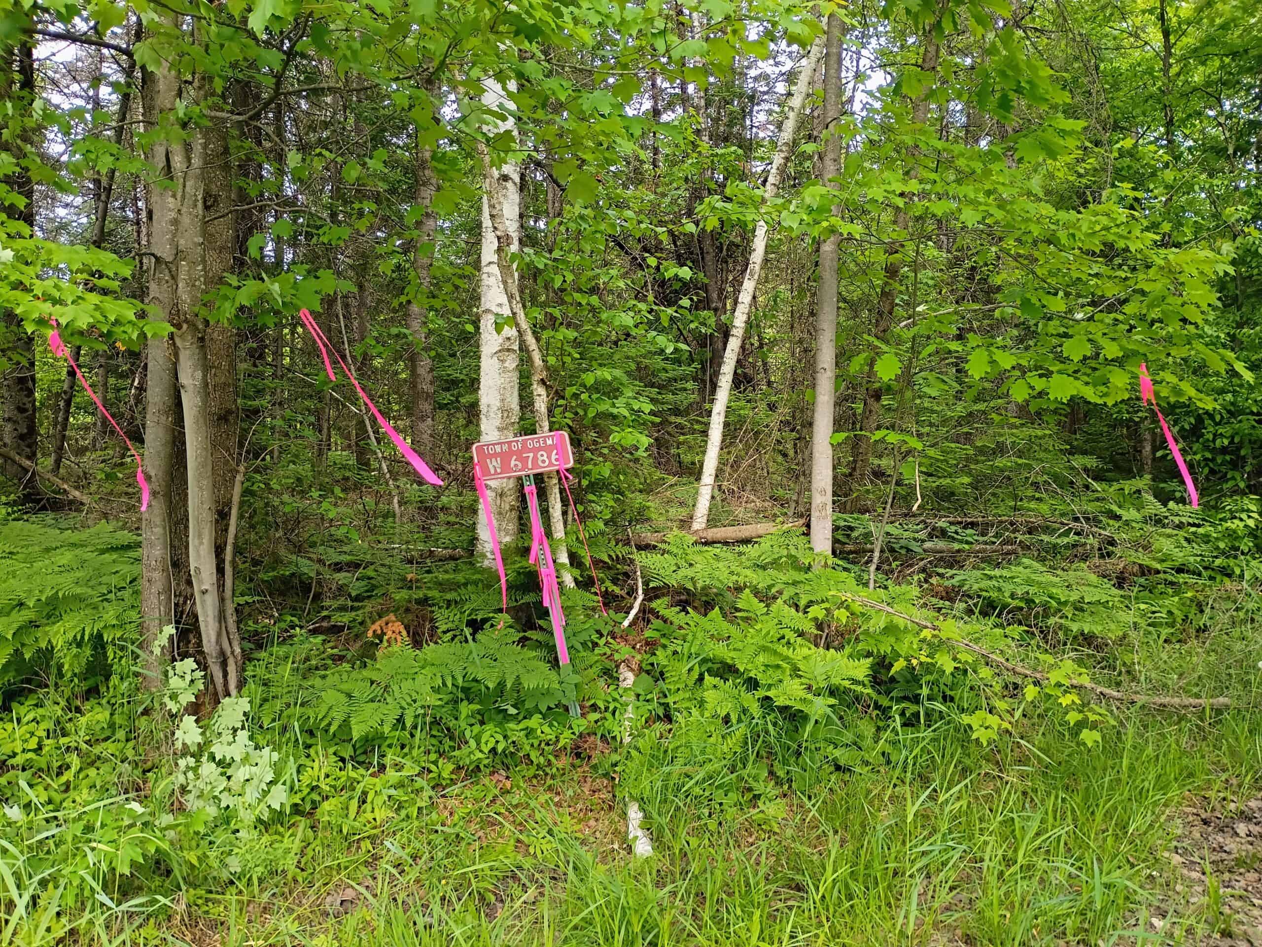 120 ± Acres Bordering Chequamegon National Forest, WI