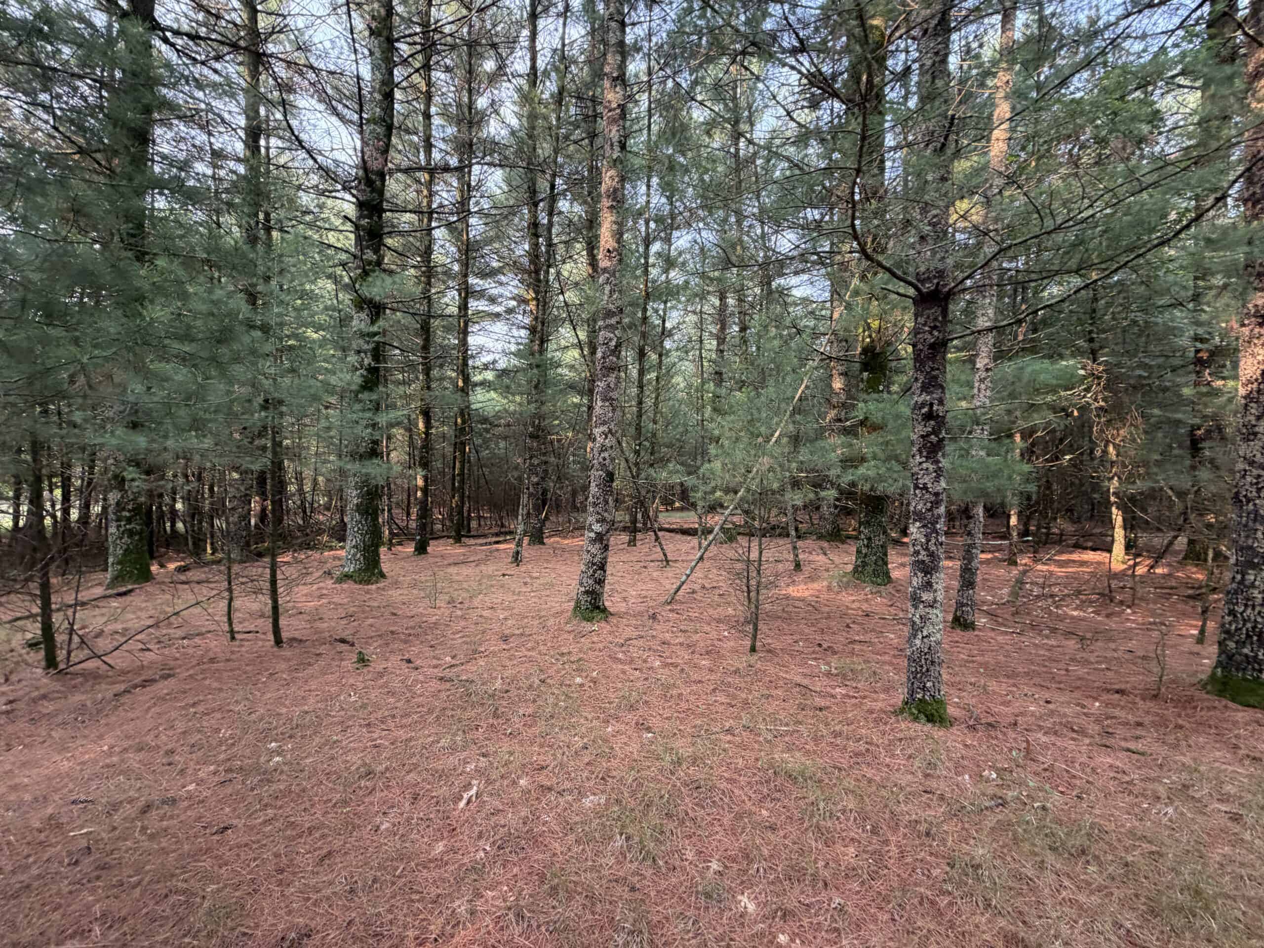 Rare opportunity to own 17.54 wooded acres within the City of Adams