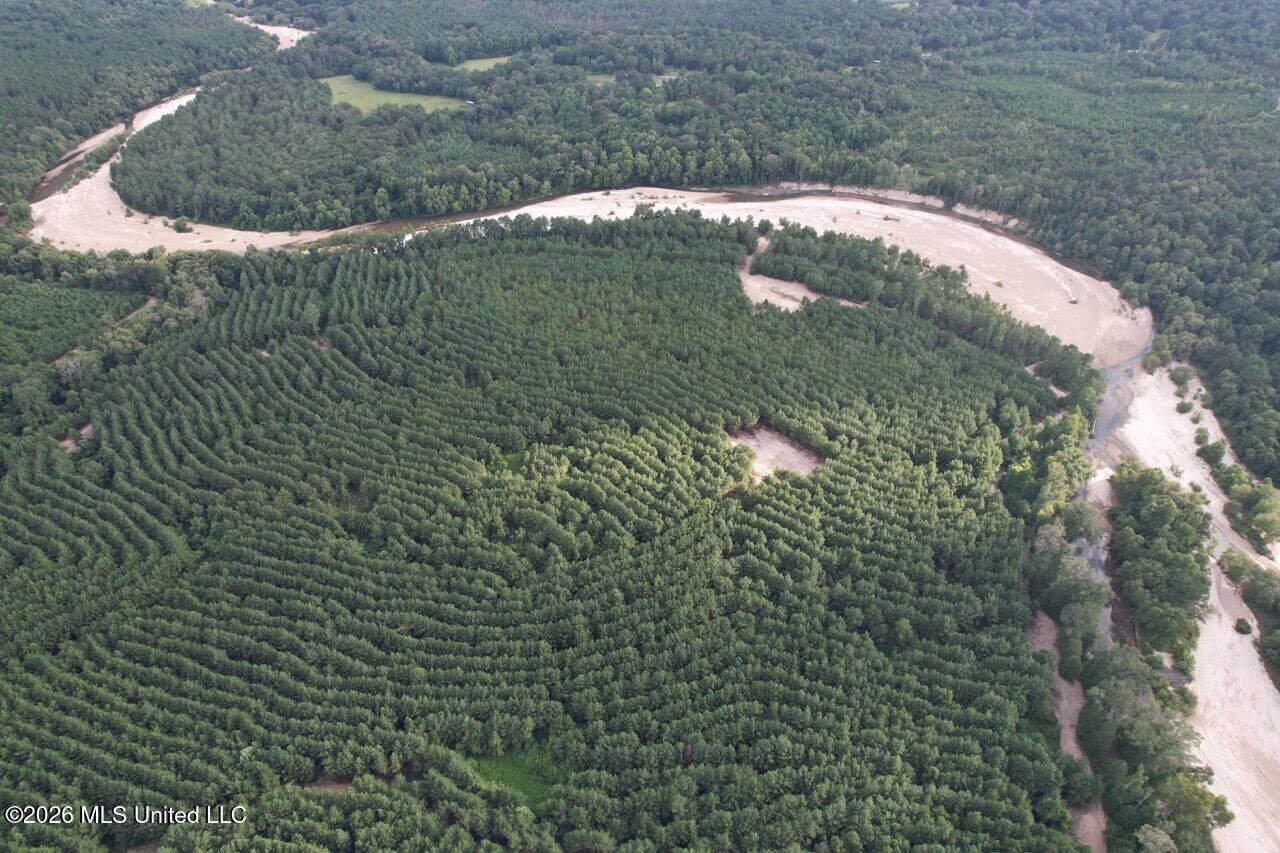 82± Acre Hunting Tract in Meadville, MS