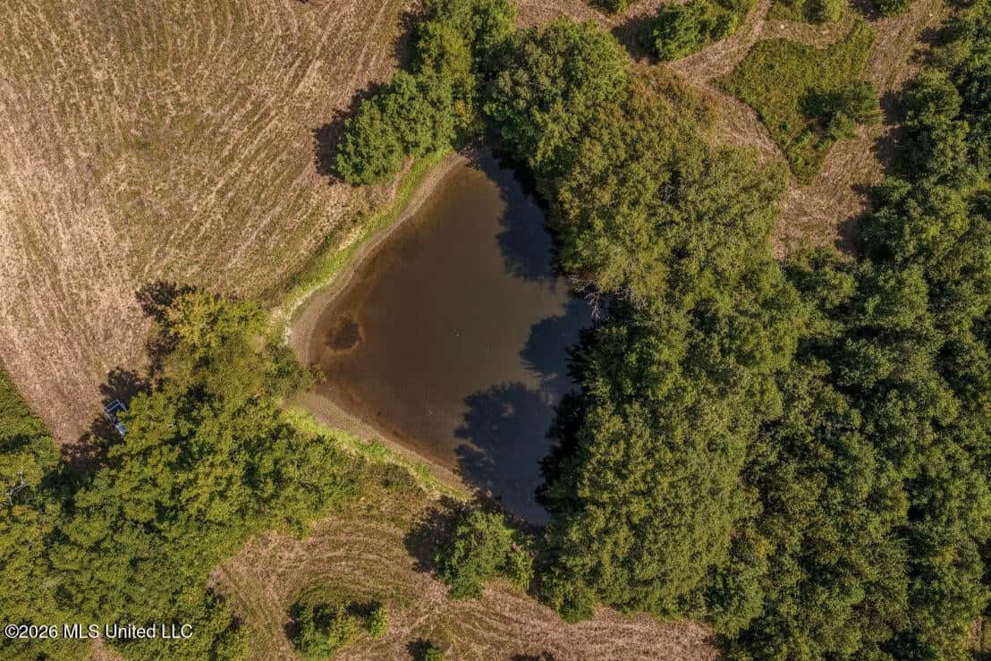 52.25± Acres in Copiah County, MS Near Hazlehurst
