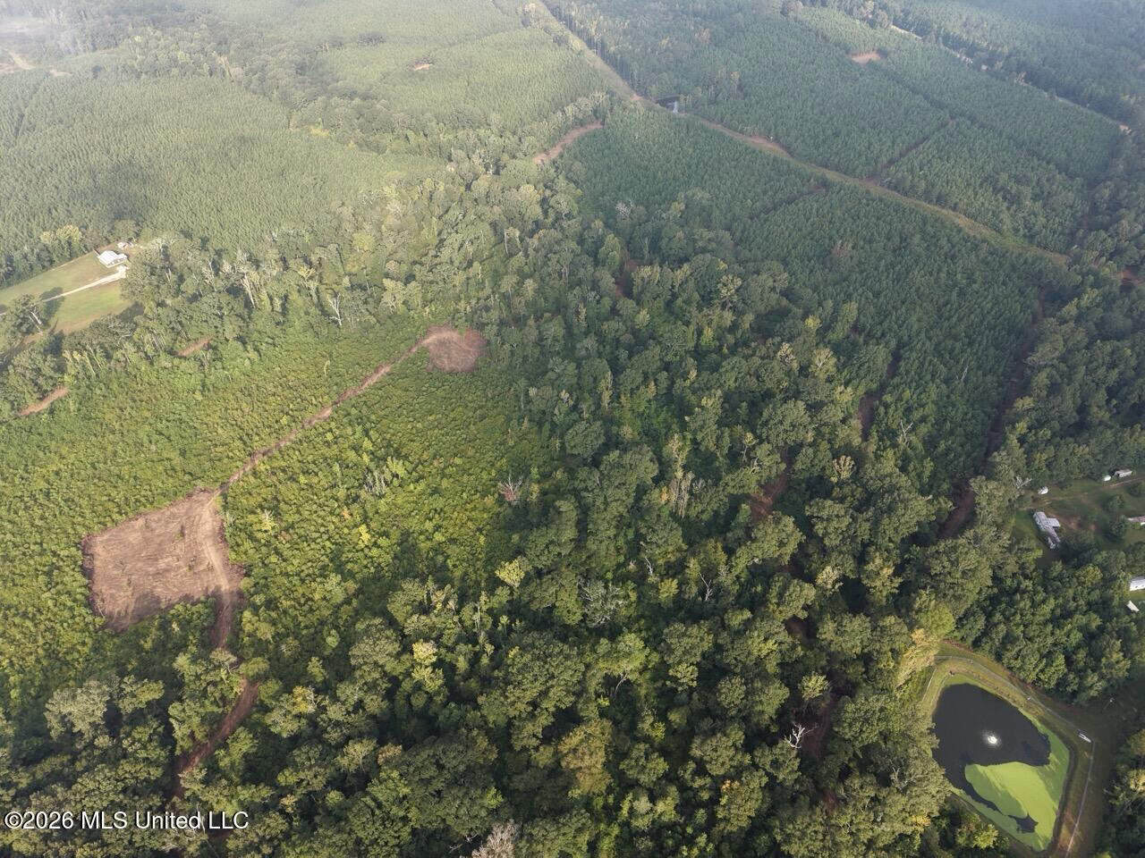 82± Acre Hunting Property in Wilkinson County, MS