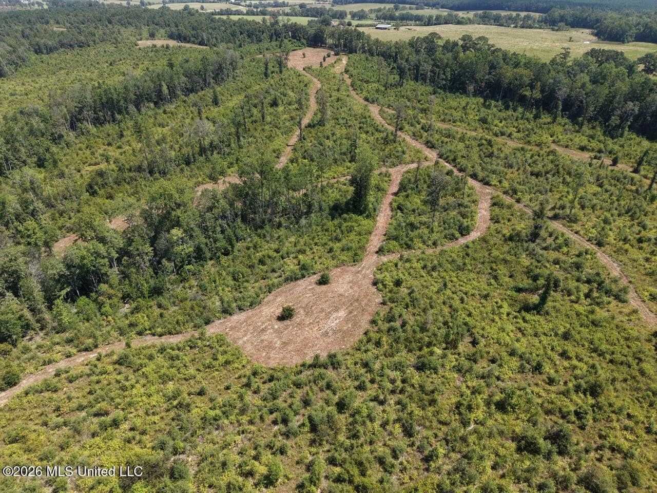 147± Acre Hunting Property in Plainview, LA