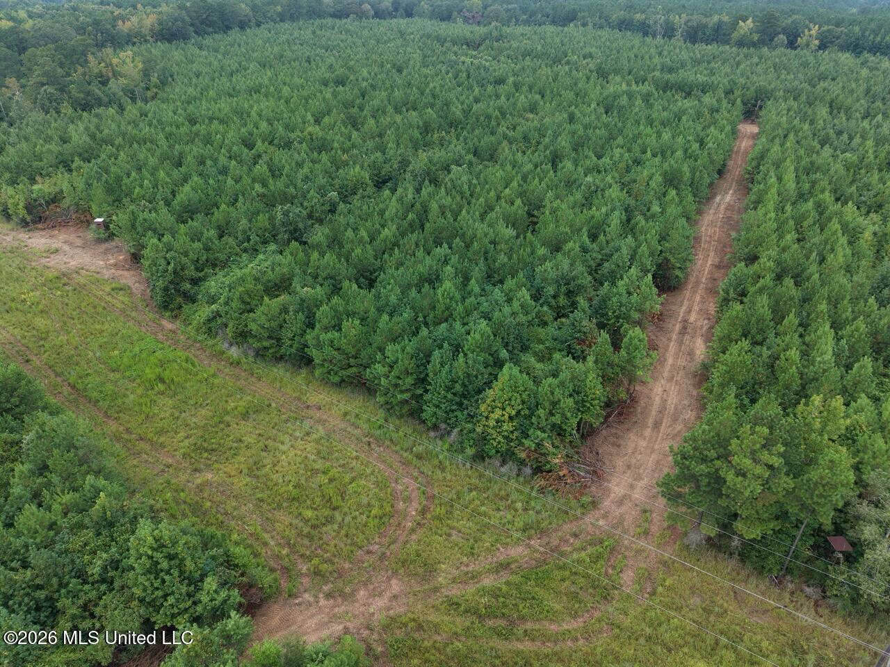 53± Acre Hunting Property Near Centreville, MS