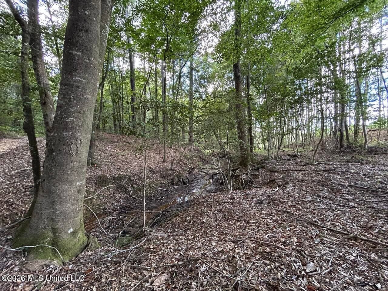 FRANKLIN COUNTY LAND FOR SALE NEAR McCALL CREEK