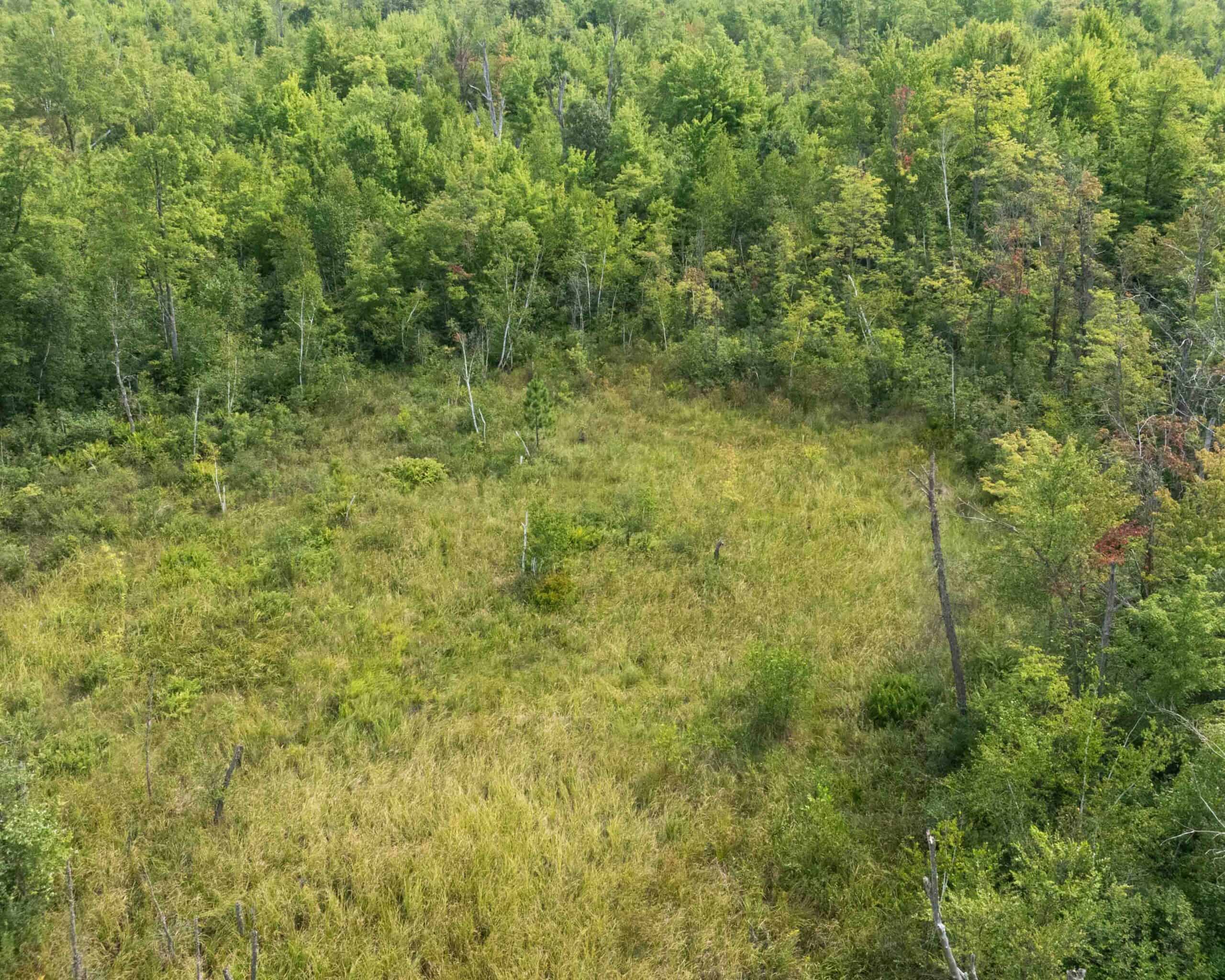 Juneau County WI 80 Acre Camp For Sale