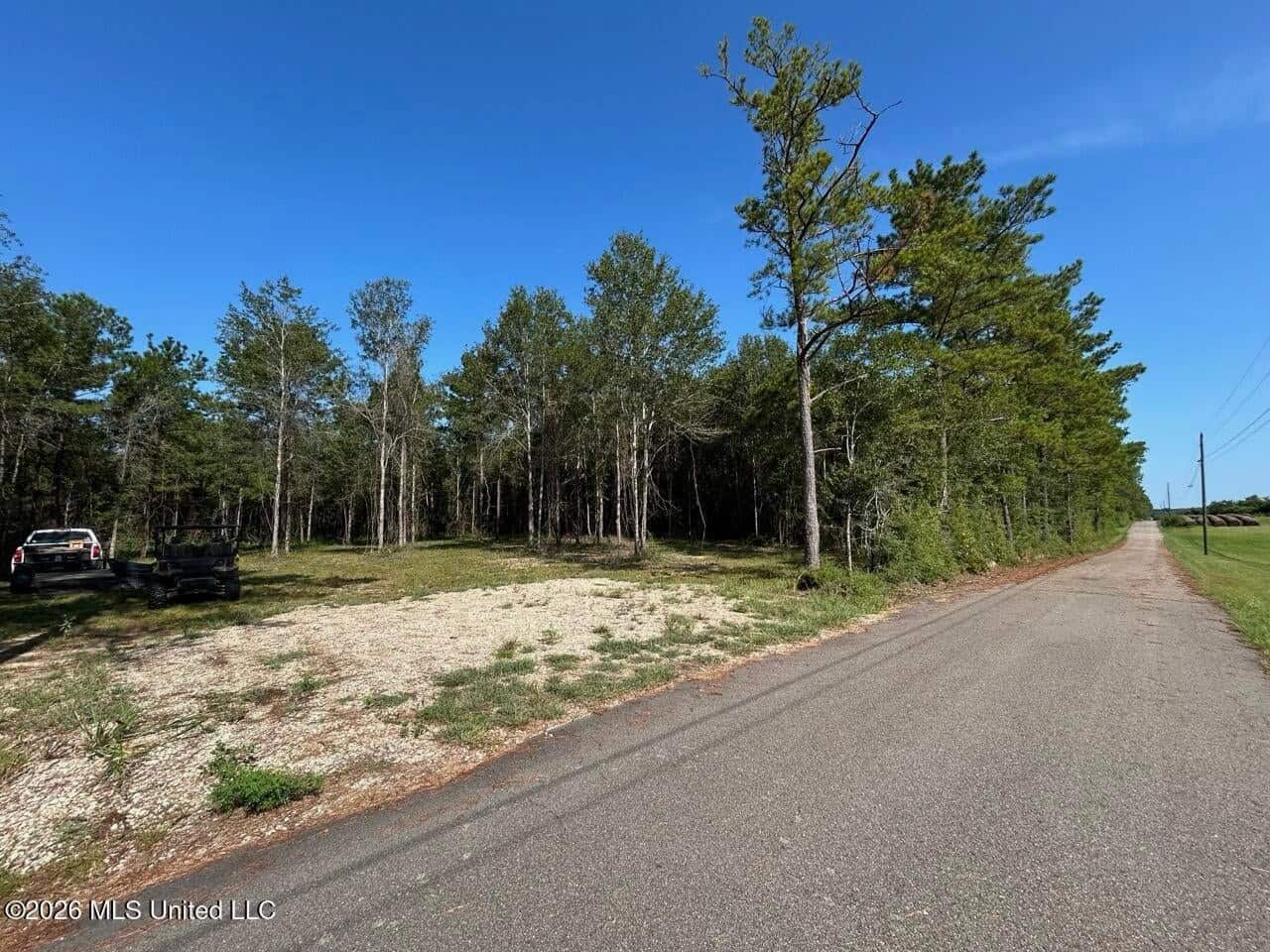 50± Acre Homesite & Hunting Land in Plainview, LA