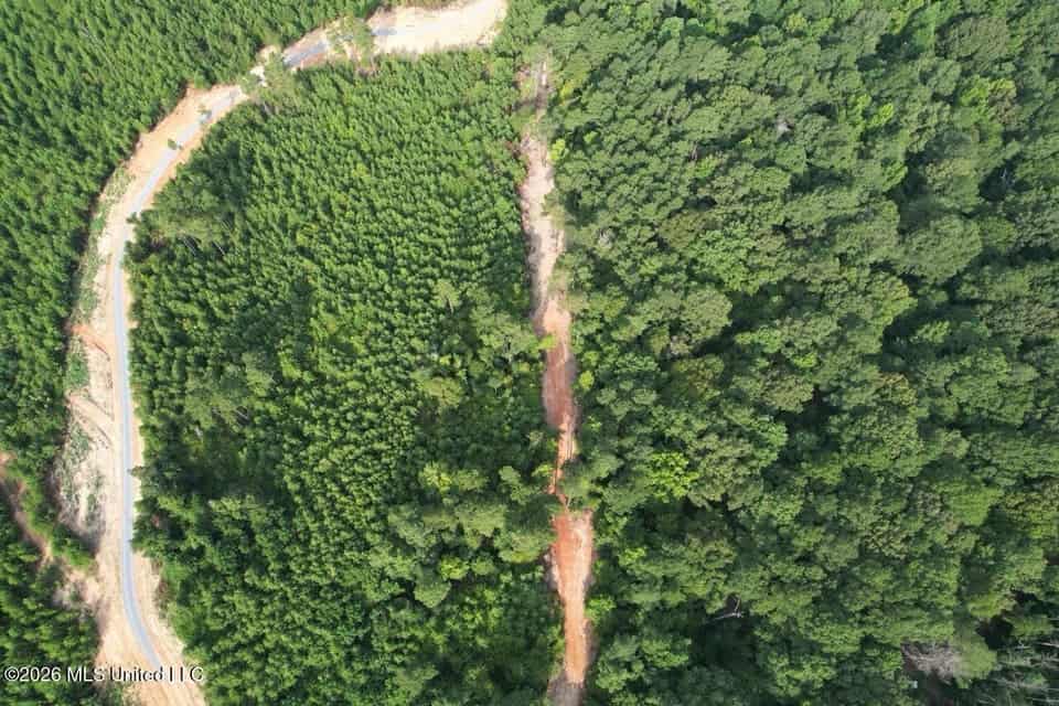 90± Acre Hunting Tract for Sale in Meadville, MS