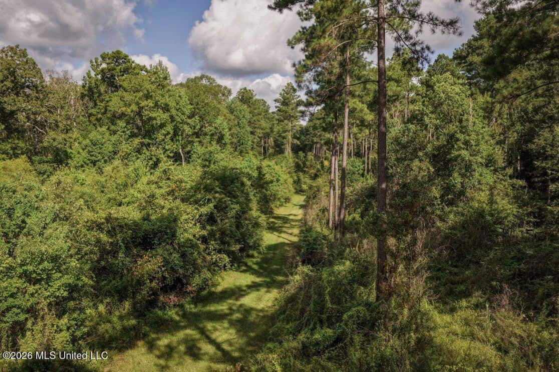 150 Acres for Sale in Magnolia MS on Tangipahoa River