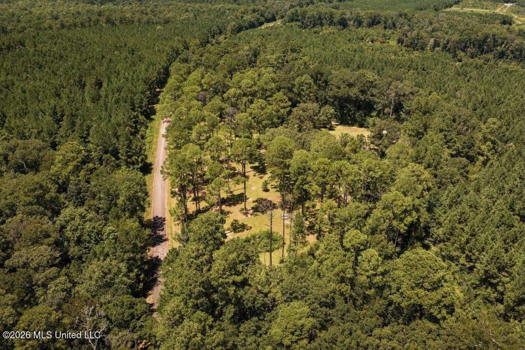 20 Acres for Sale Magnolia MS with Barn & Mature Timber