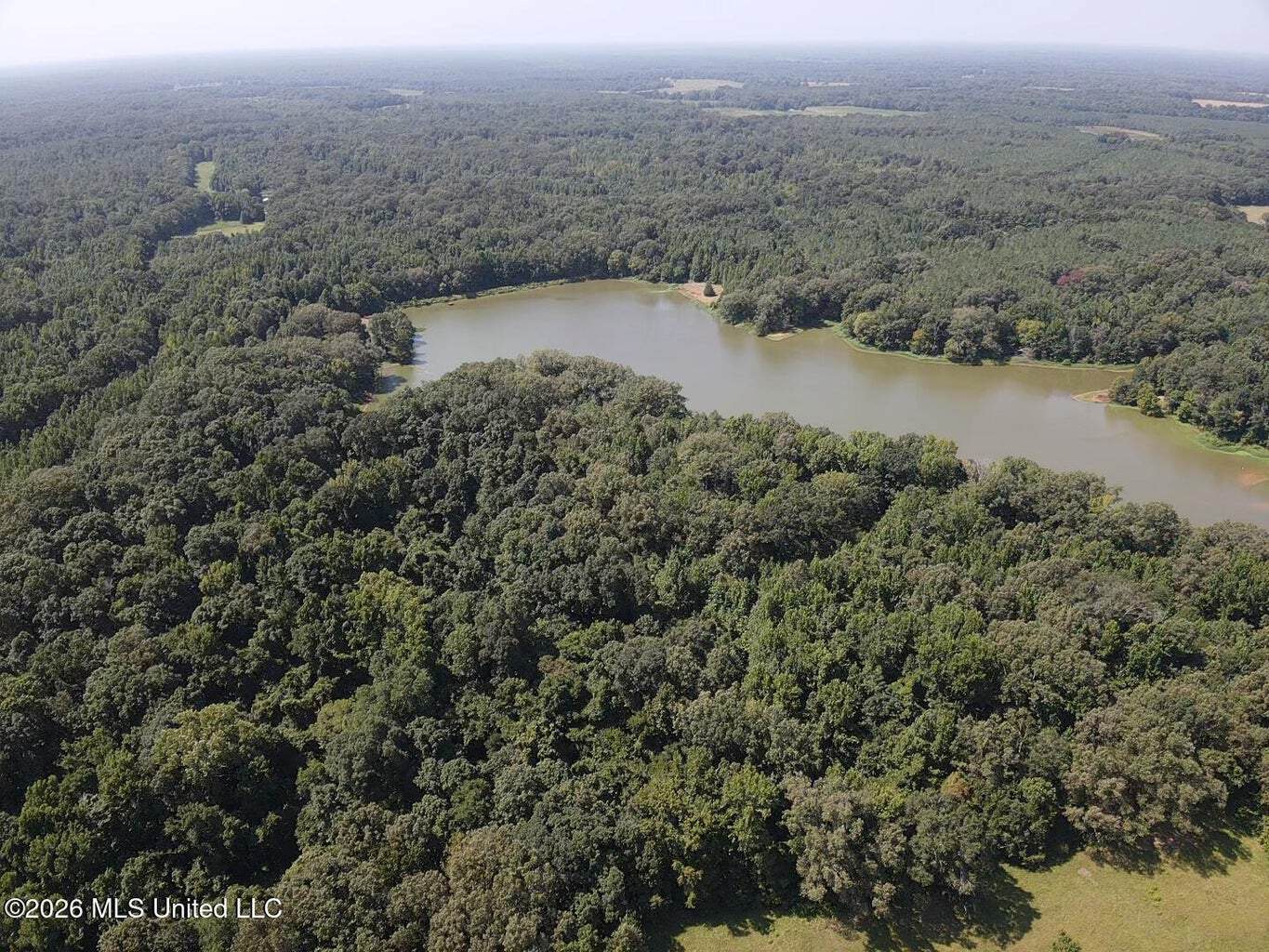 81-Acre Timber Property on 20-Acre Lake in Vaughan, MS