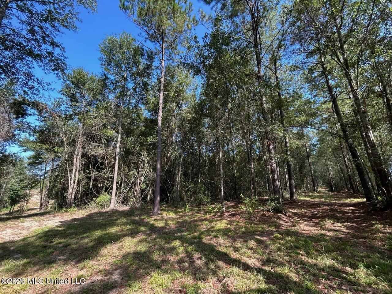 42± Acre Homesite & Hunting Land in Plainview, LA