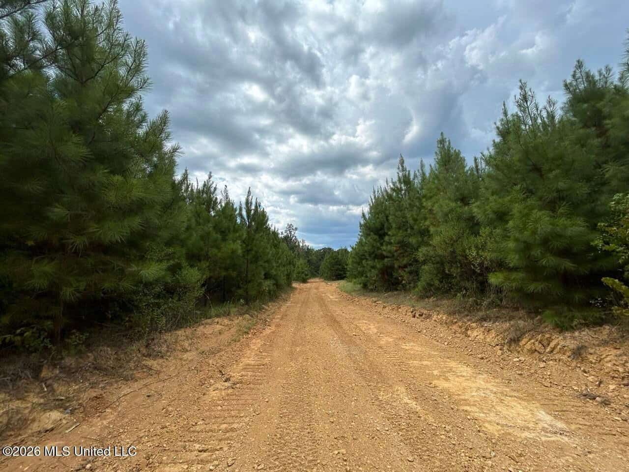 85± Acre Turnkey Hunting Property in Amite County, MS