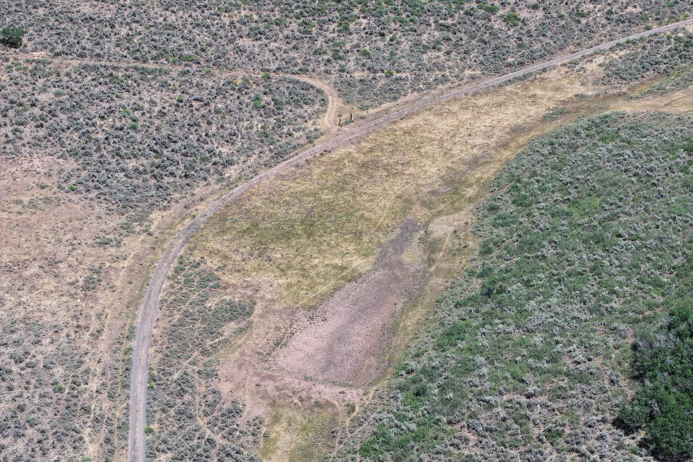 35 Acres Borders Public Land near Collbran, CO