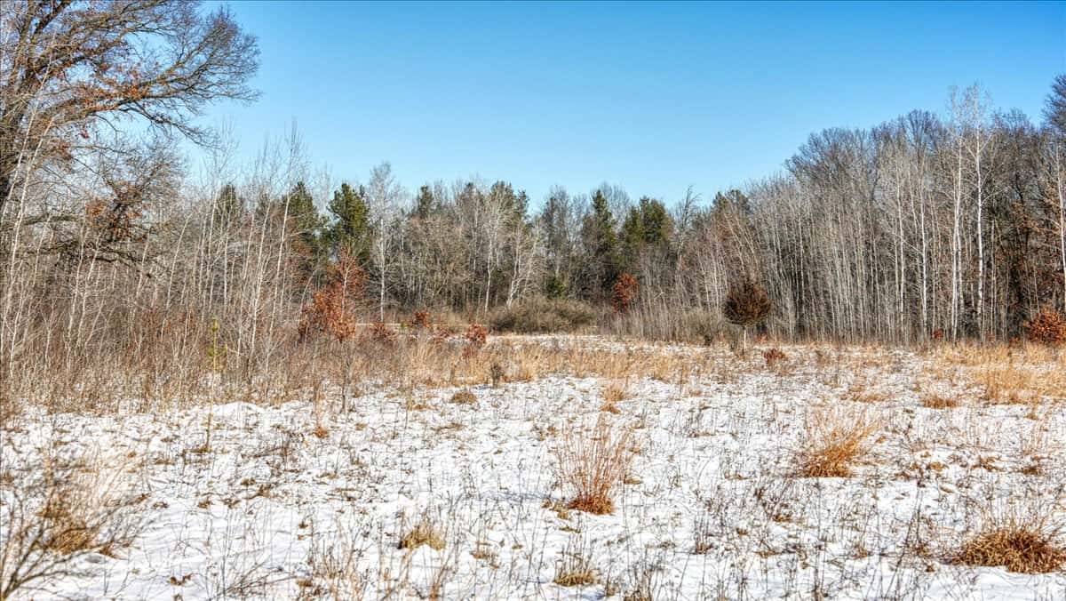 68± Acres of Timber, Water & Recreation | Monroe County, Wisconsin