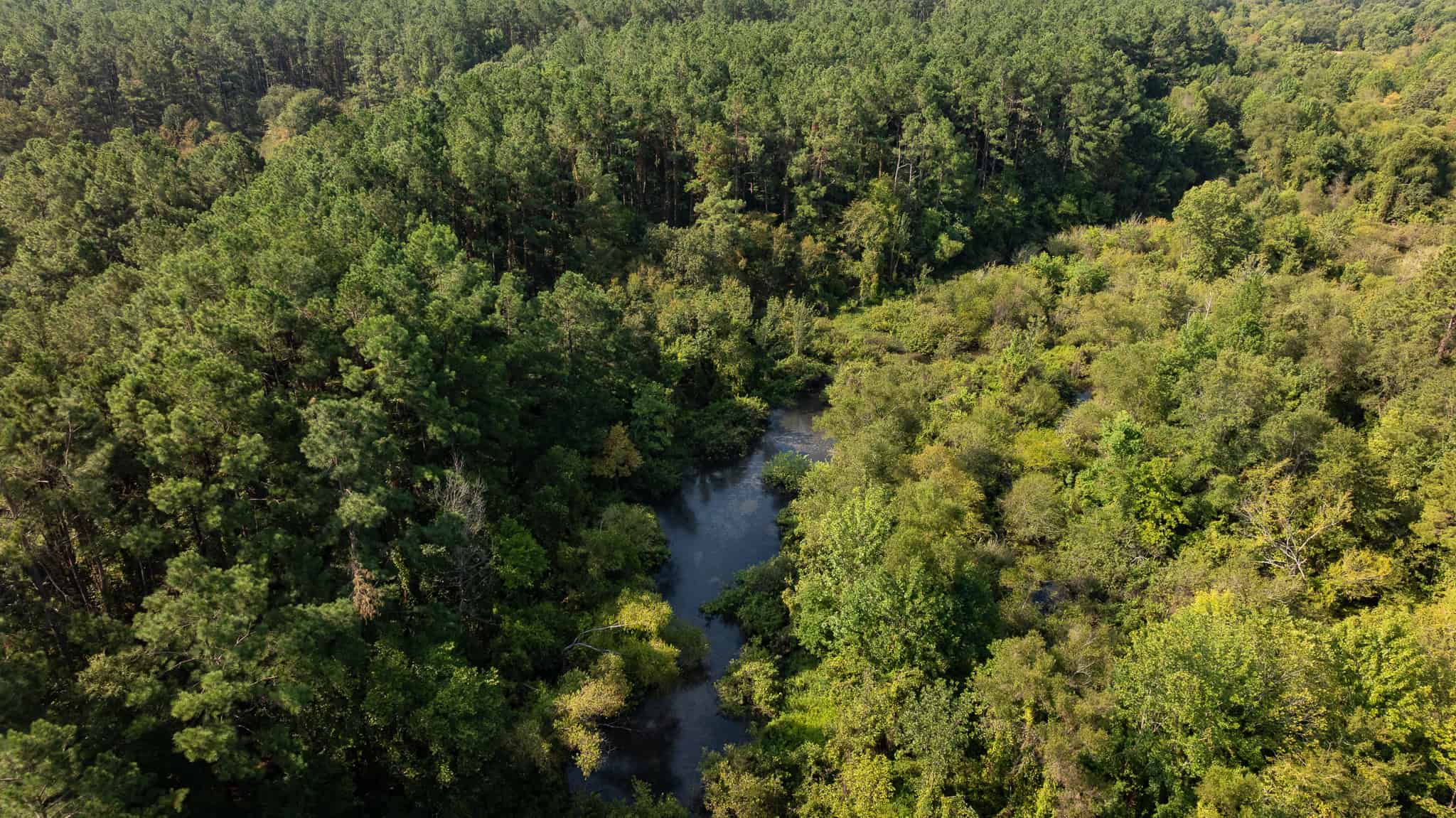 East TX Hunting Land for Sale | 327 Acres | River & Duck Slough | Laneville TX