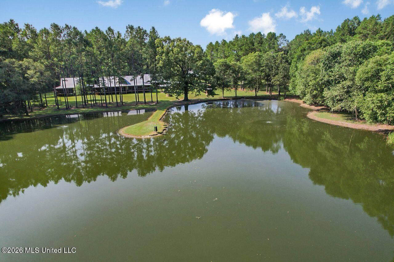 85± Acre Luxury Estate in Poplarville, MS