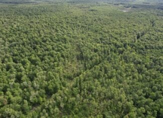 120 ± Acres Bordering Chequamegon National Forest, WI