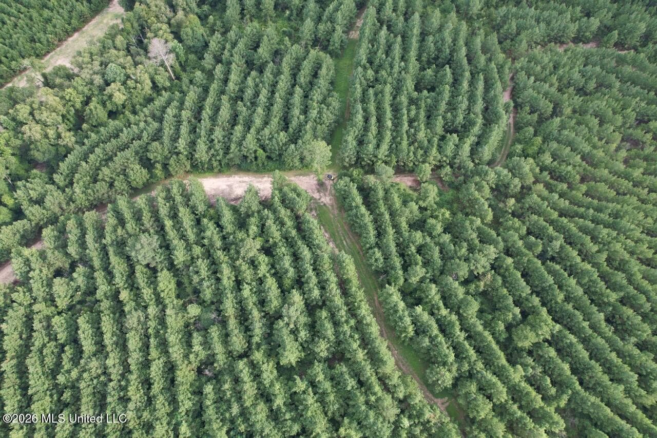 82± Acre Hunting Tract in Meadville, MS