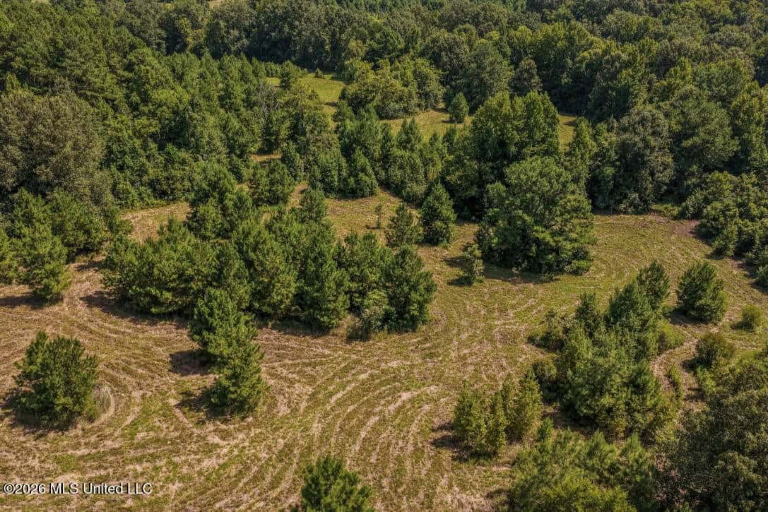 52.25± Acres in Copiah County, MS Near Hazlehurst
