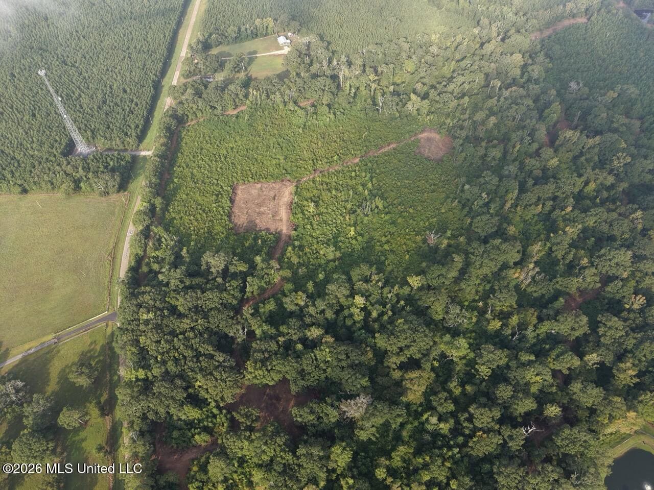 82± Acre Hunting Property in Wilkinson County, MS