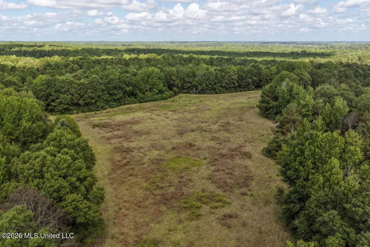HWY 49 Land for Sale Simpson County, MS