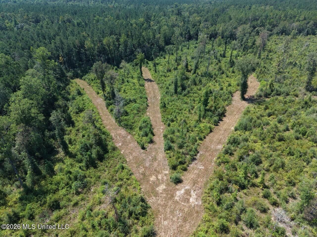 147± Acre Hunting Property in Plainview, LA