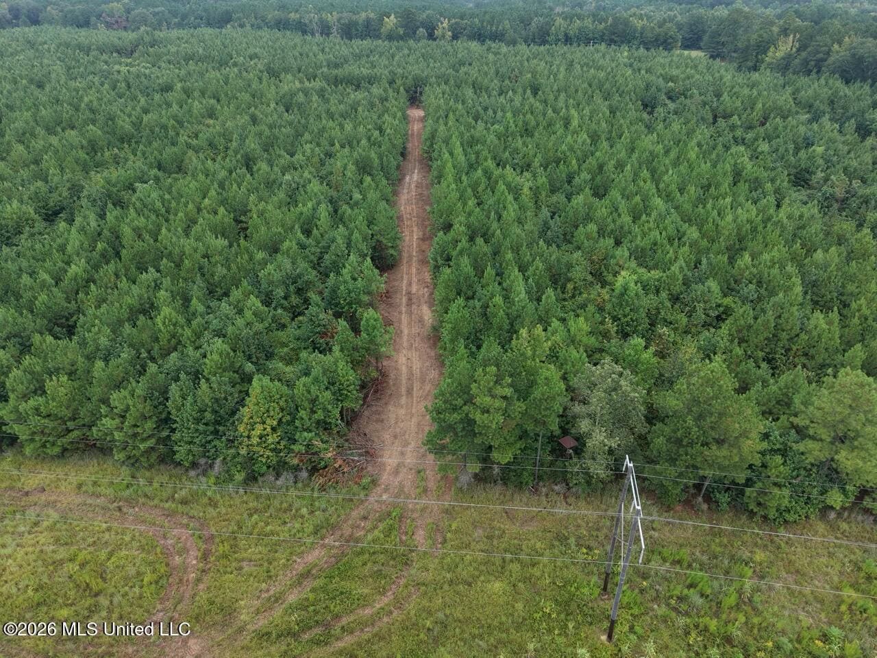53± Acre Hunting Property Near Centreville, MS
