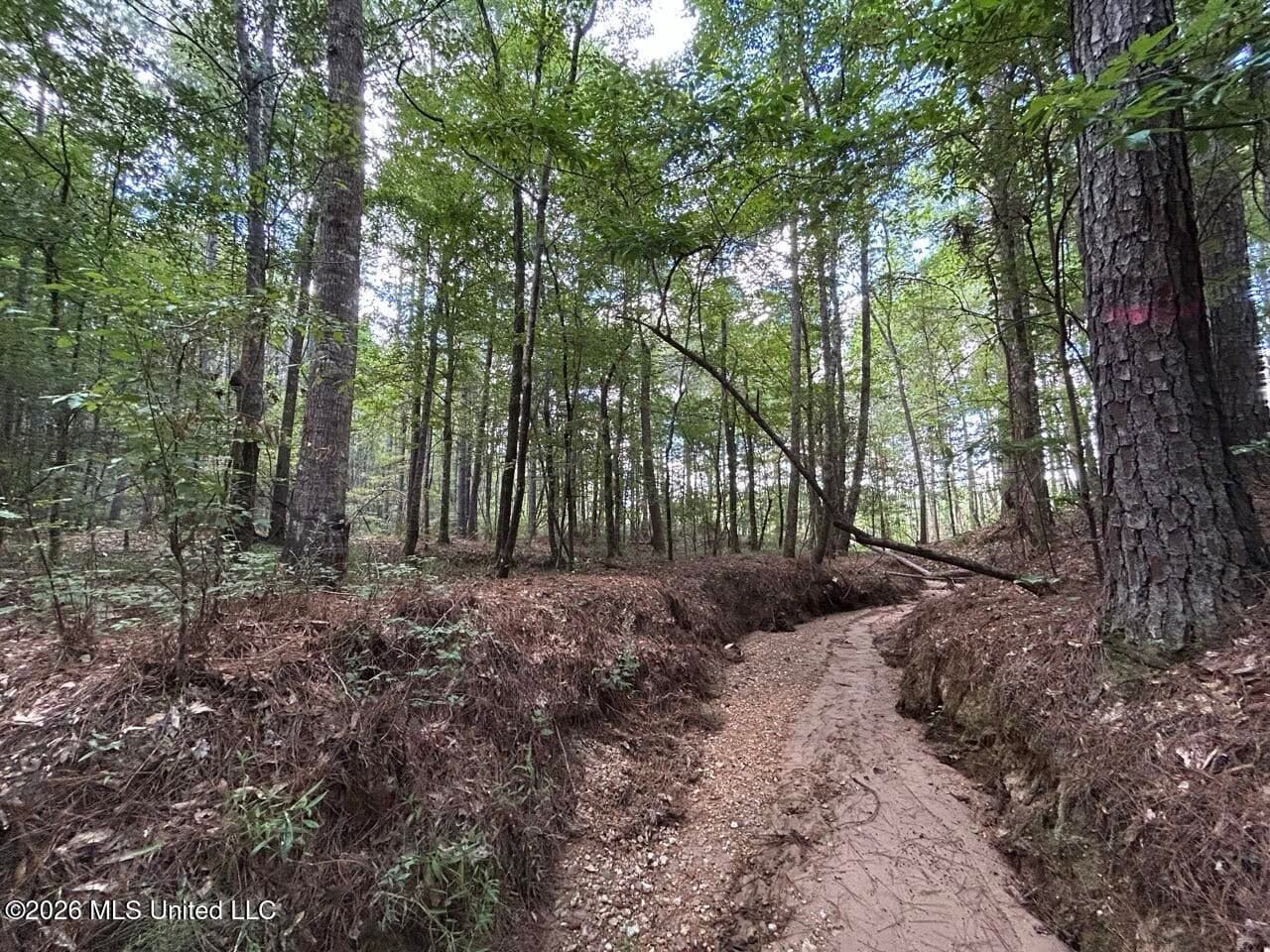 FRANKLIN COUNTY LAND FOR SALE NEAR McCALL CREEK