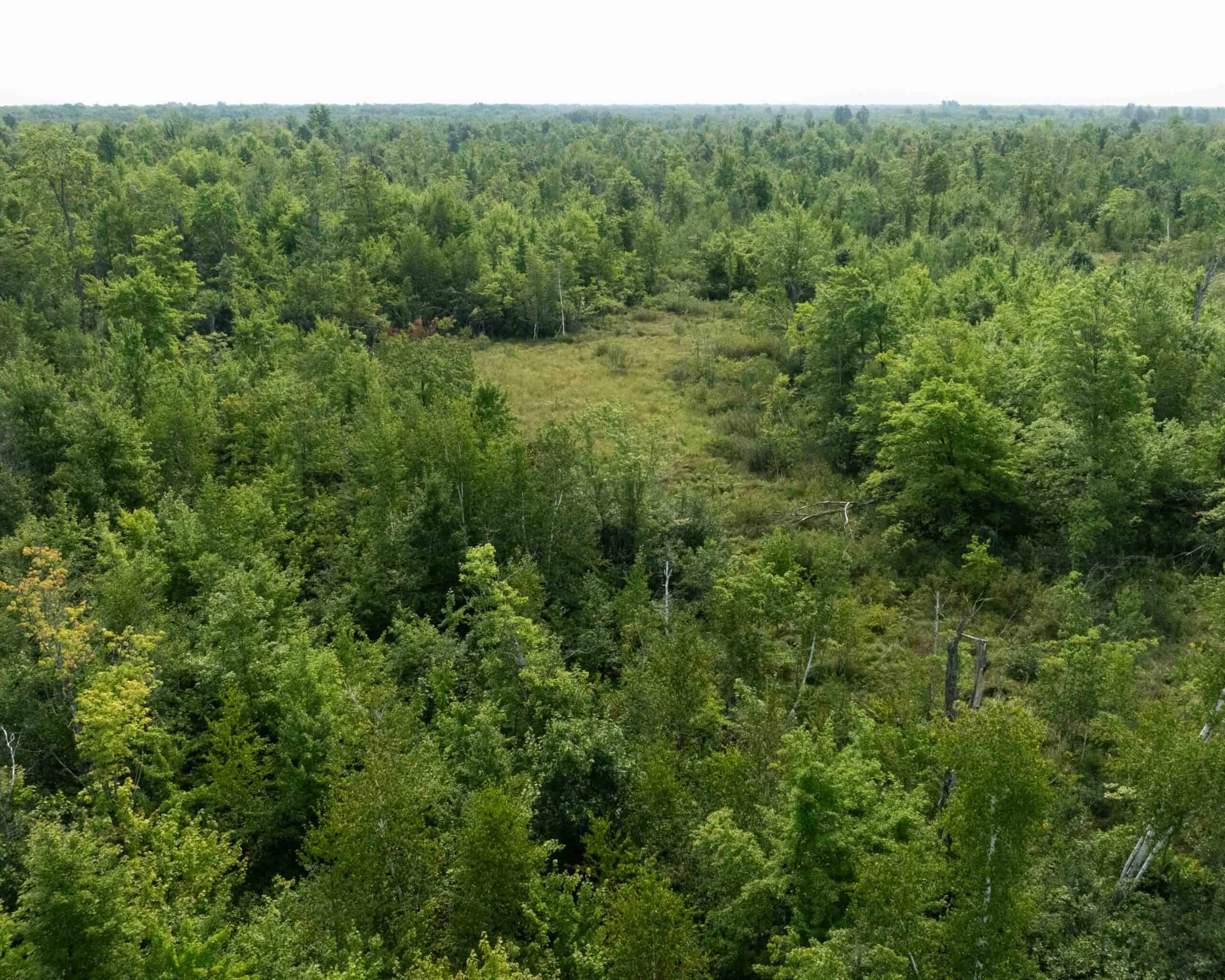 Juneau County WI 80 Acre Camp For Sale