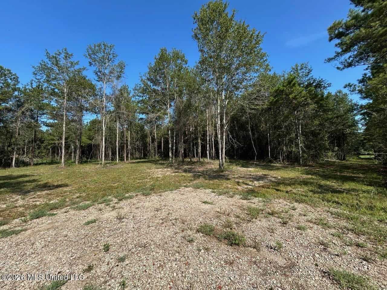 50± Acre Homesite & Hunting Land in Plainview, LA