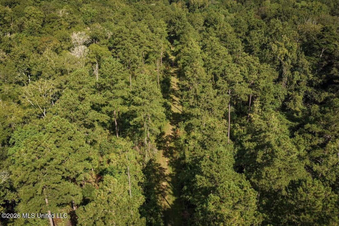 150 Acres for Sale in Magnolia MS on Tangipahoa River
