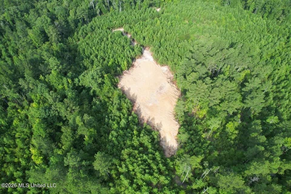 90± Acre Hunting Tract for Sale in Meadville, MS