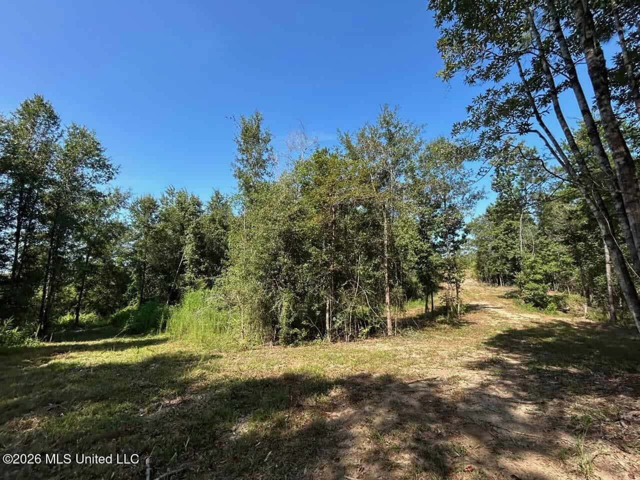 42± Acre Homesite & Hunting Land in Plainview, LA