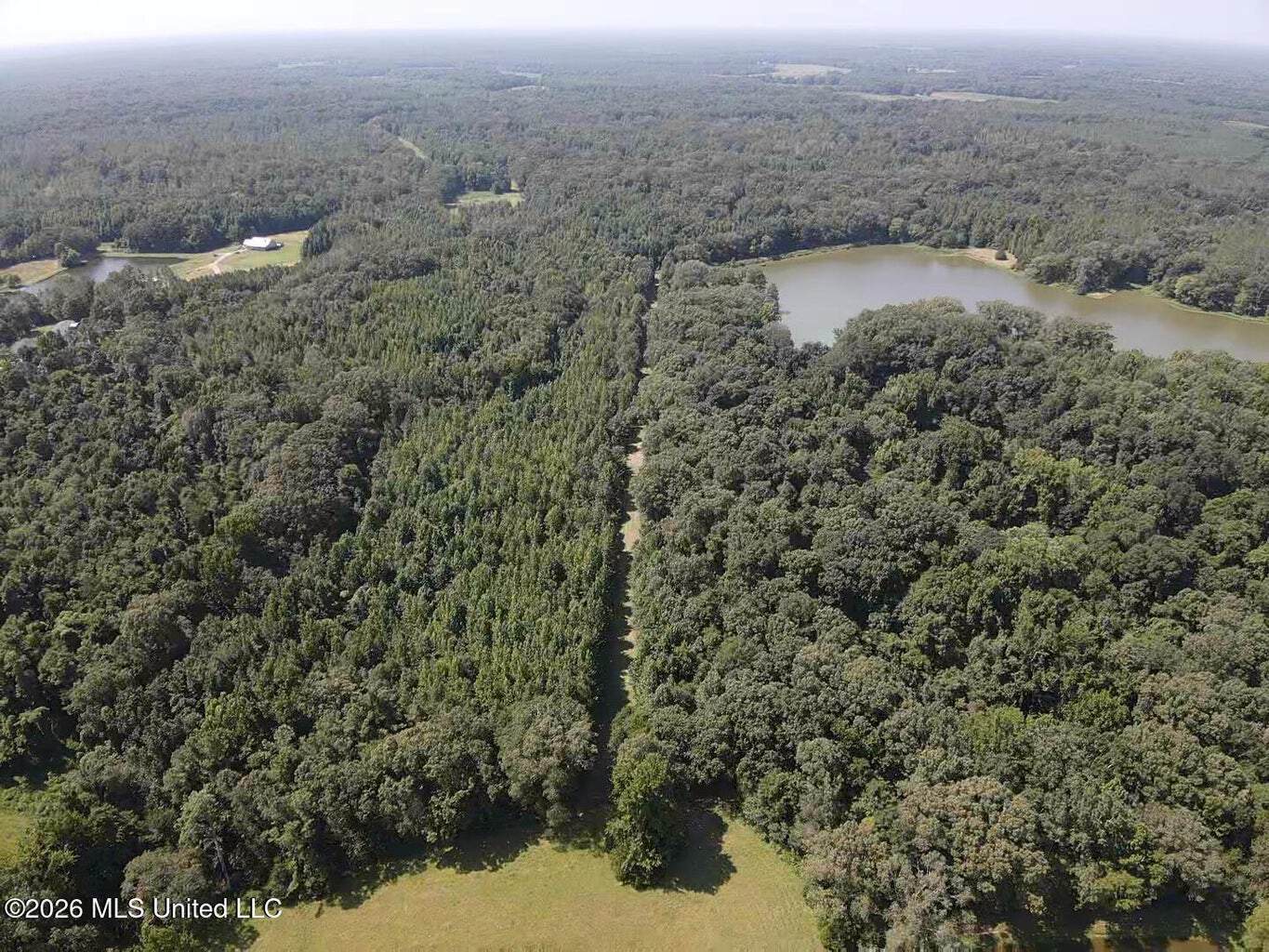 81-Acre Timber Property on 20-Acre Lake in Vaughan, MS