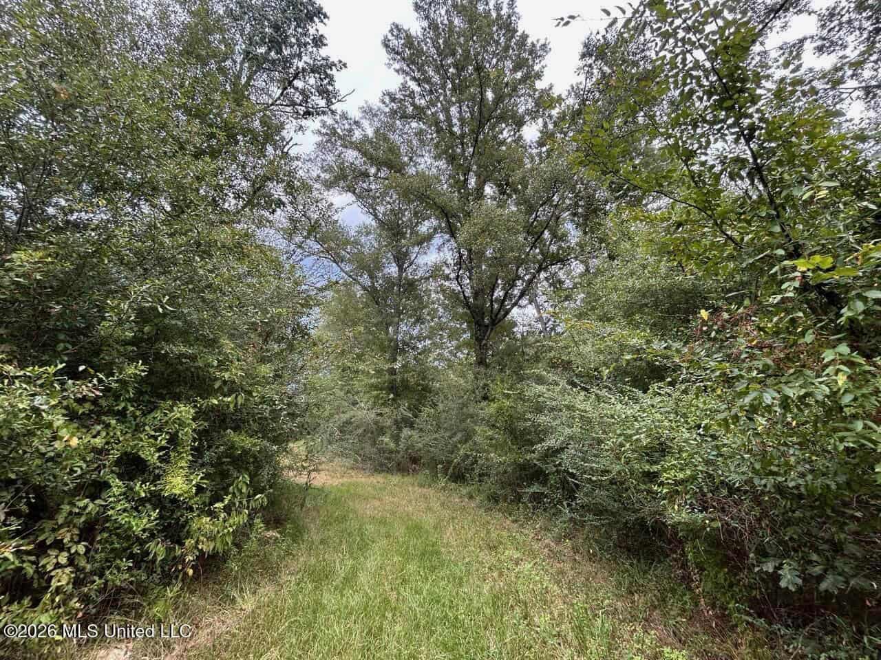 85± Acre Turnkey Hunting Property in Amite County, MS