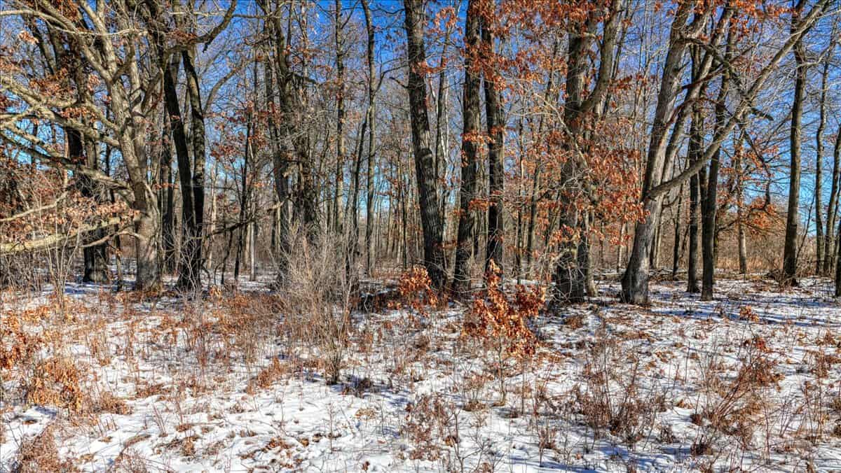 68± Acres of Timber, Water & Recreation | Monroe County, Wisconsin