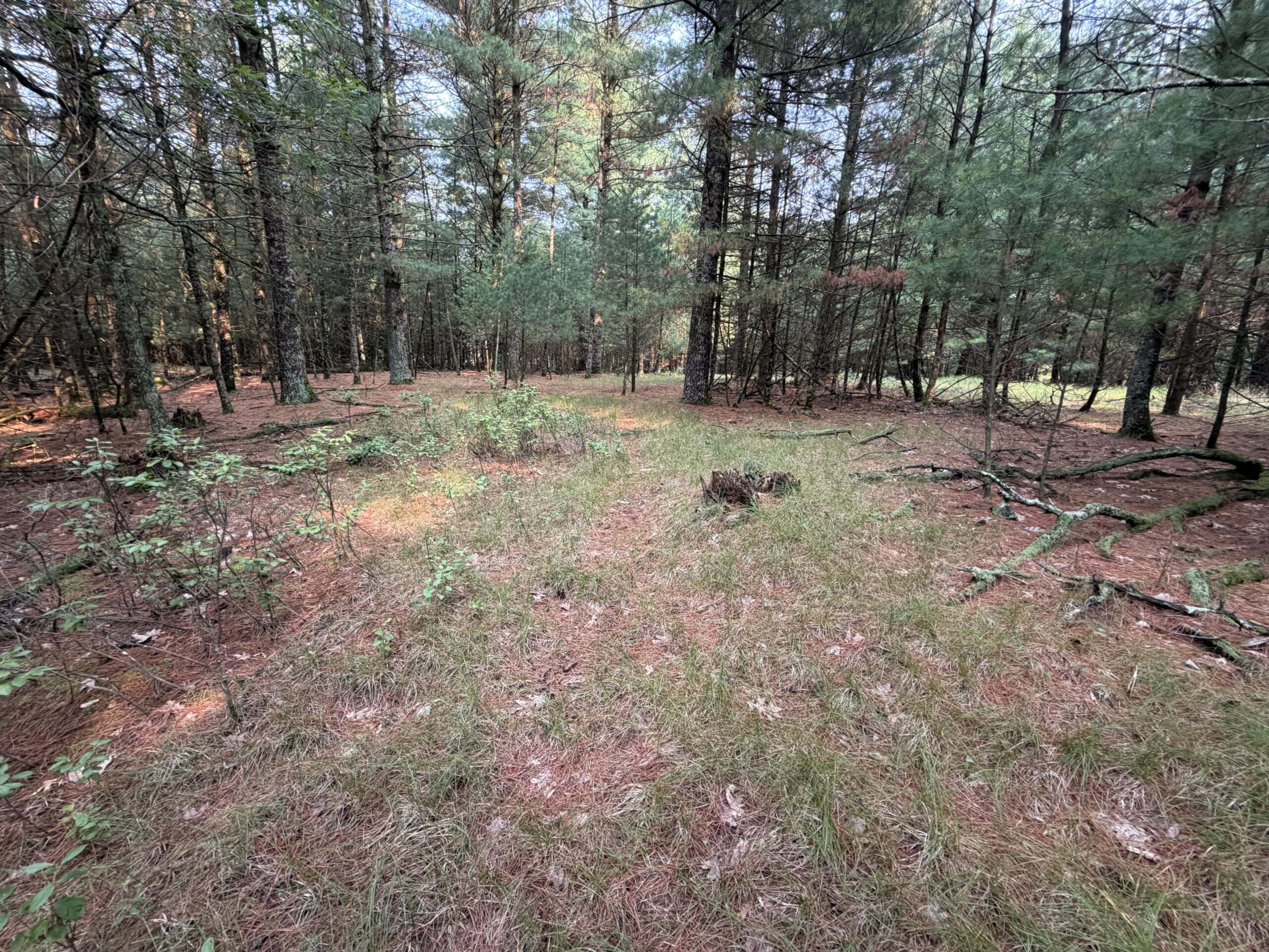 Rare opportunity to own 17.54 wooded acres within the City of Adams