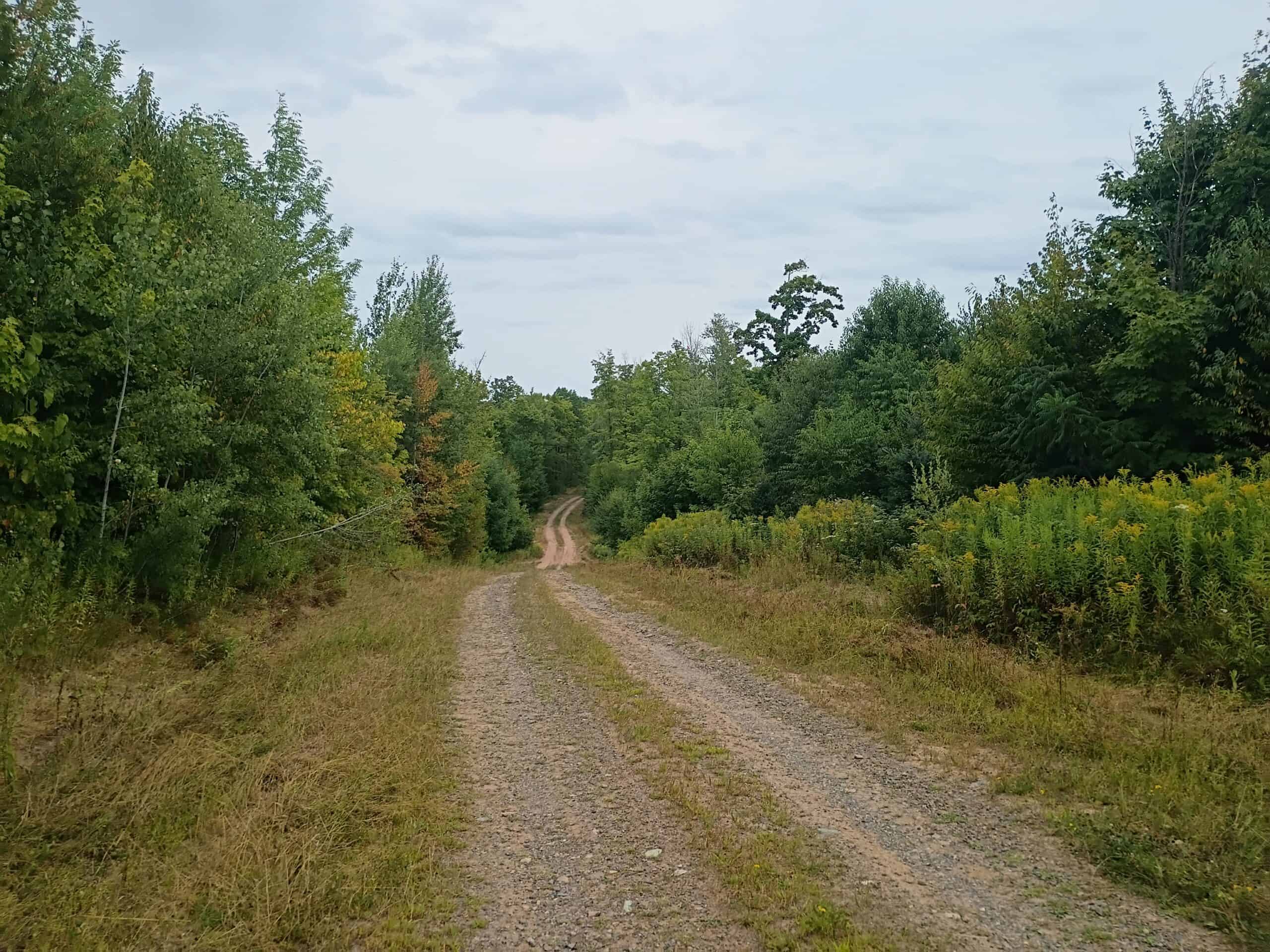 280 ± Acres Near Butternut Lake, WI Recreational Land
