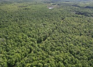 120 ± Acres Bordering Chequamegon National Forest, WI
