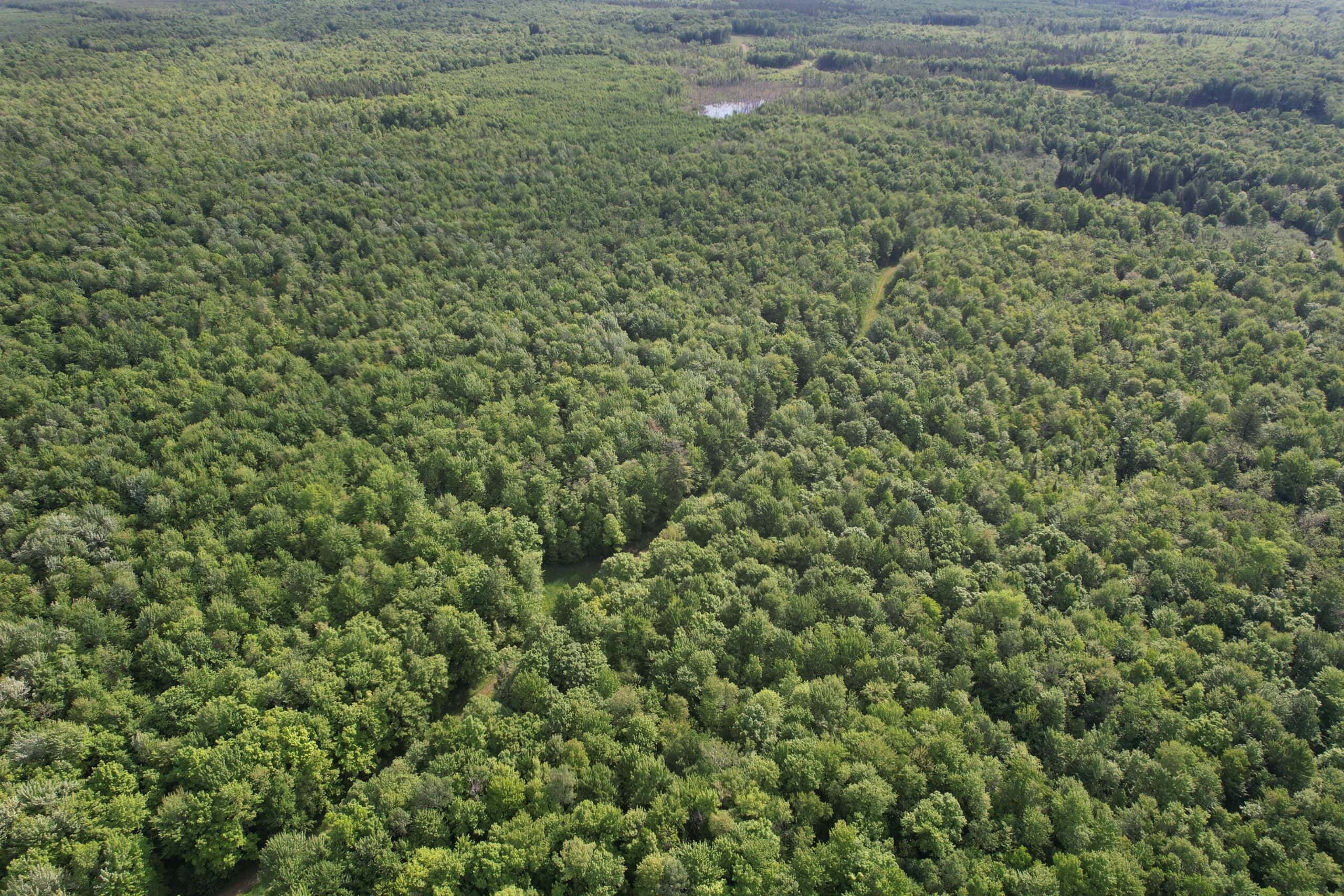 120 ± Acres Bordering Chequamegon National Forest, WI