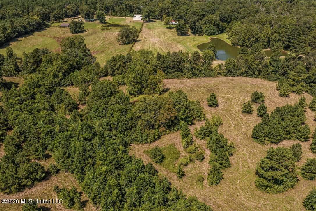 52.25± Acres in Copiah County, MS Near Hazlehurst