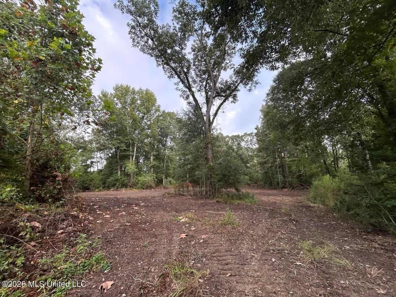 82± Acre Hunting Property in Wilkinson County, MS