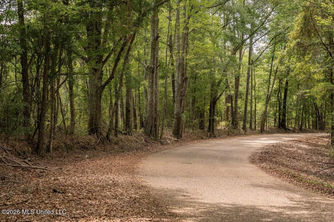 HWY 49 Land for Sale Simpson County, MS