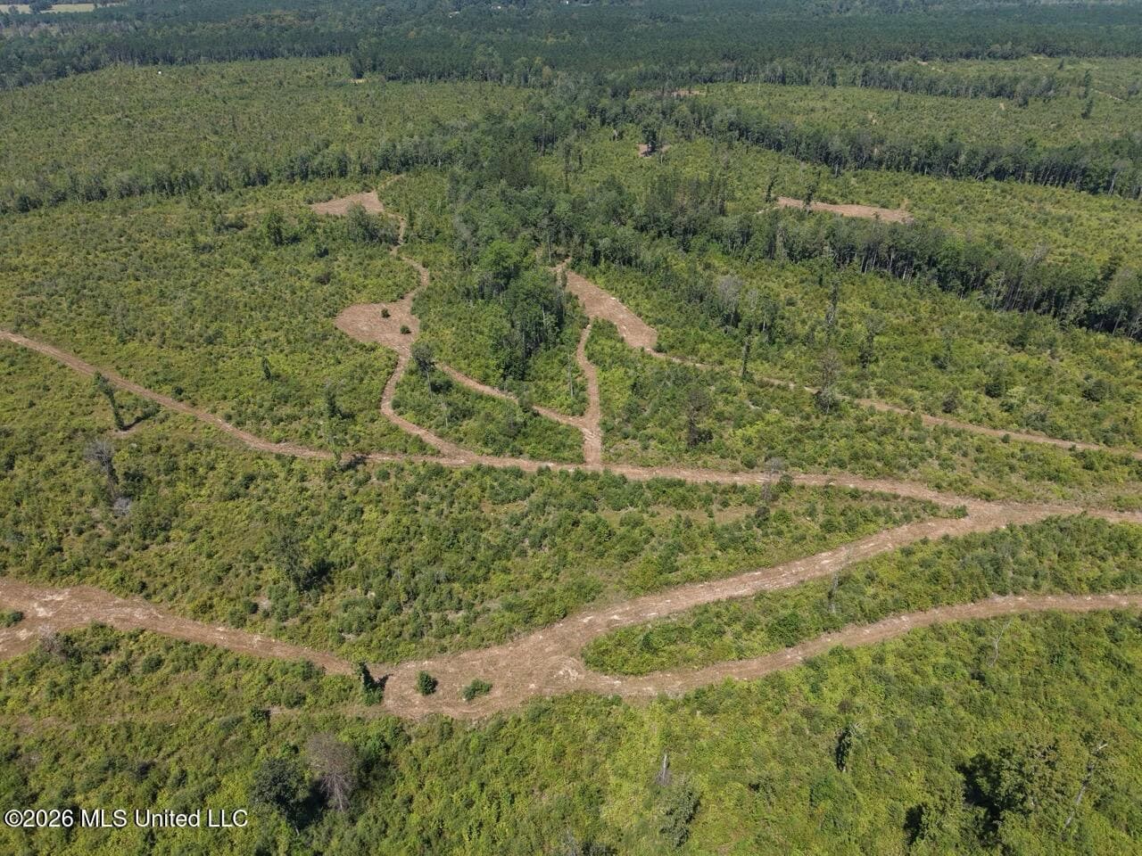 147± Acre Hunting Property in Plainview, LA