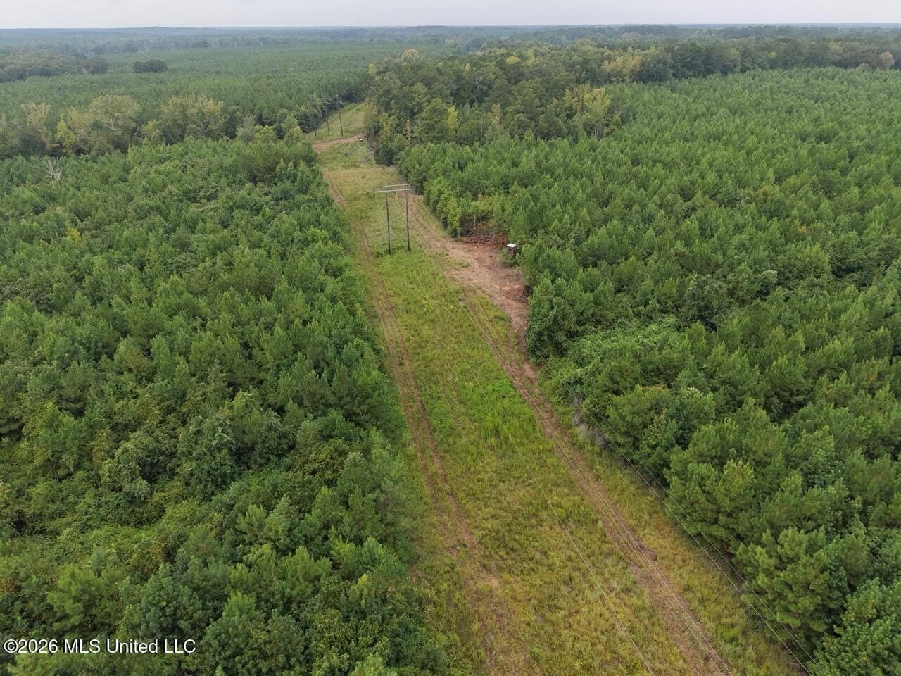 53± Acre Hunting Property Near Centreville, MS